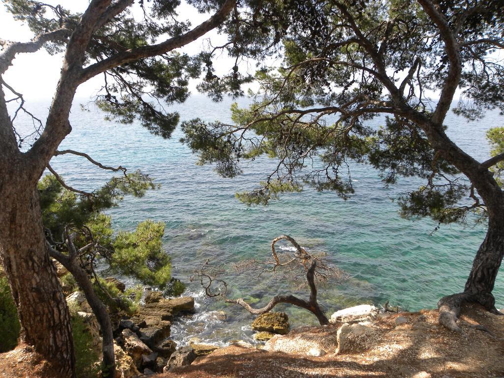 Sun & Sea Apart Bandol Extérieur photo